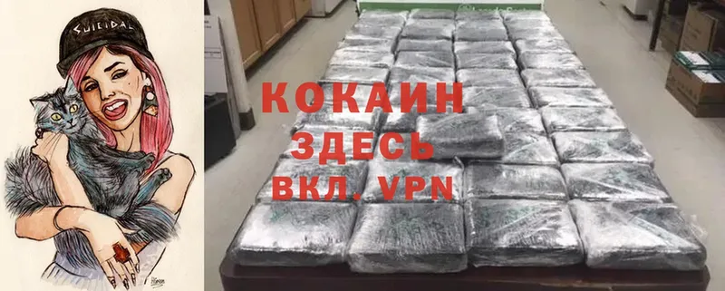 COCAIN FishScale  гидра маркетплейс  Волжск 