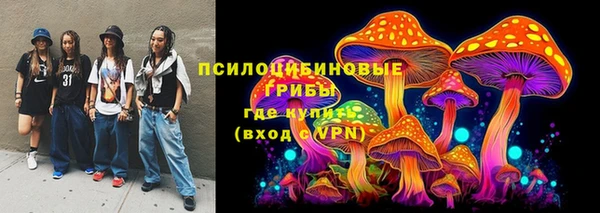 прущие грибы Бородино